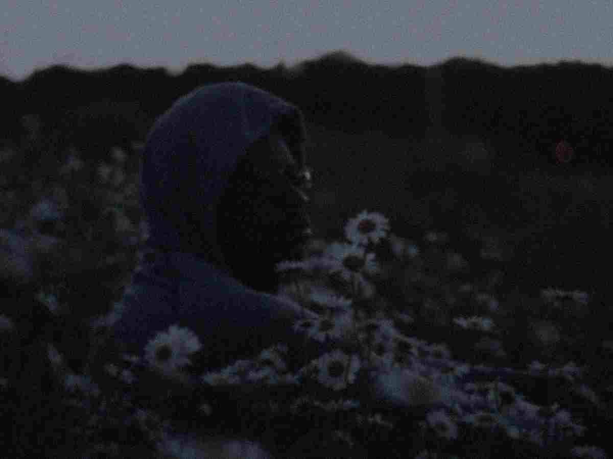 Portrett i blomstereng – før AI-forbedring: mørkt, uskarpt og støyete